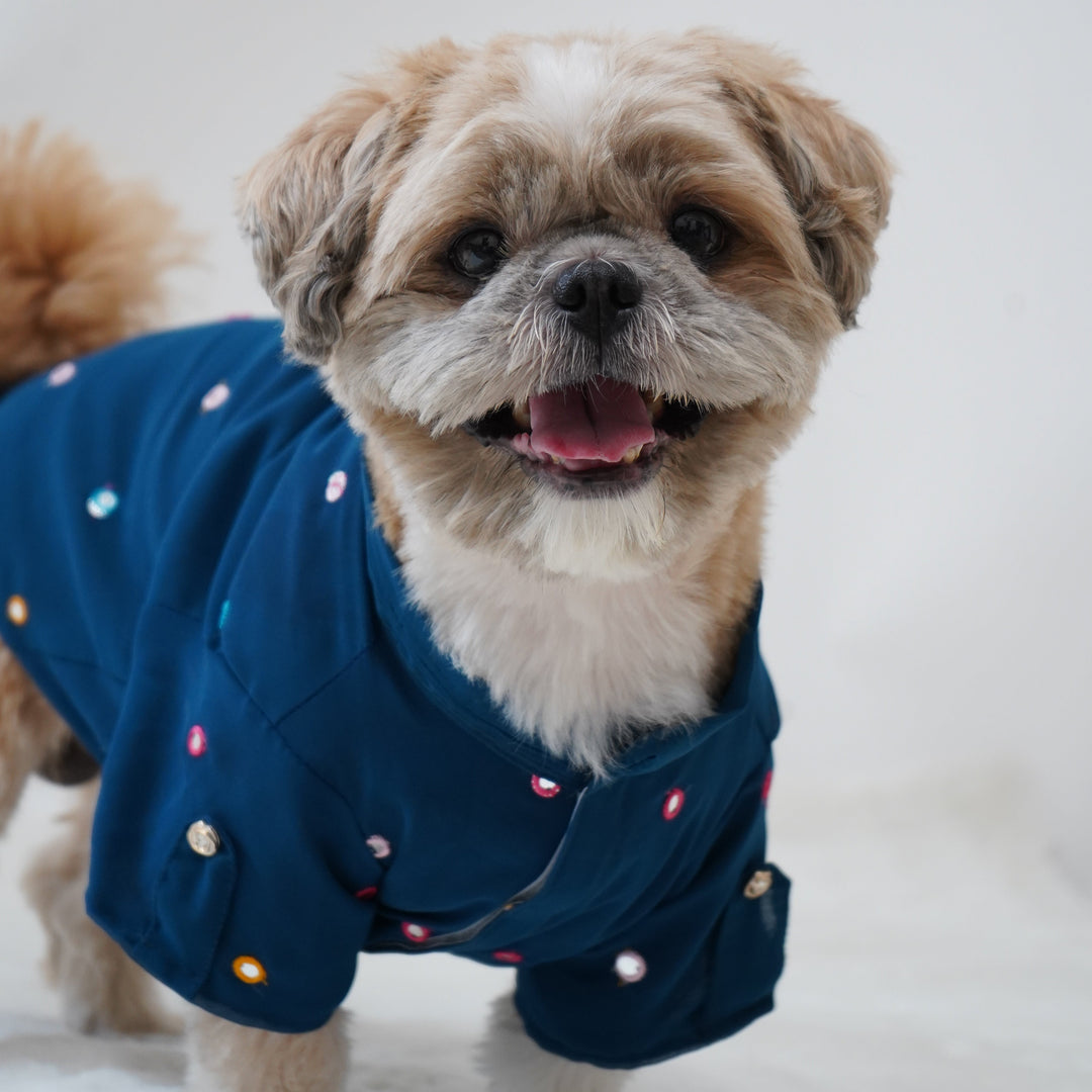 Pawgy Pets Festive Shirt Peacock blue for Dogs