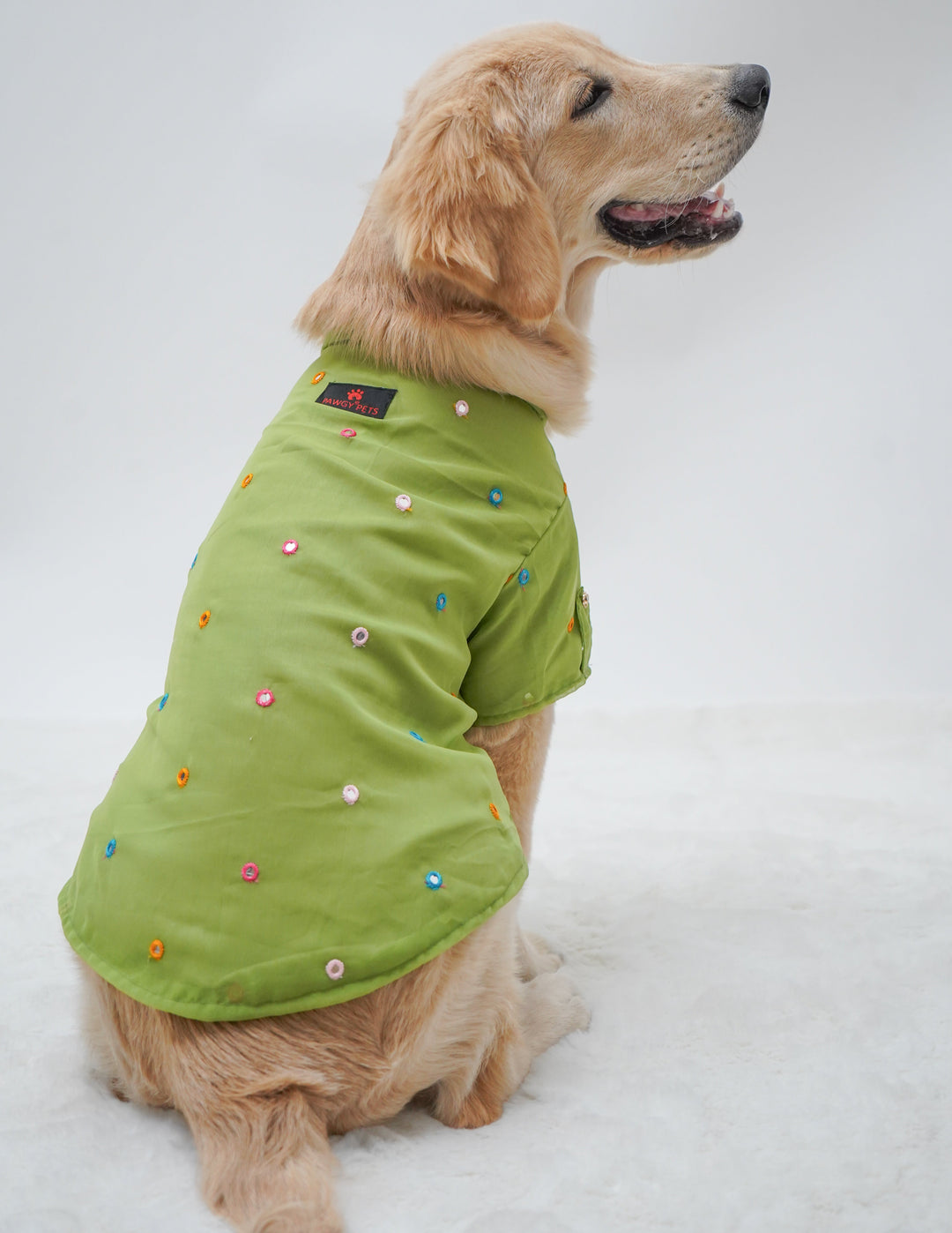 Pawgy Pets Festive Shirt Pista Green for Dogs – Puppiezo