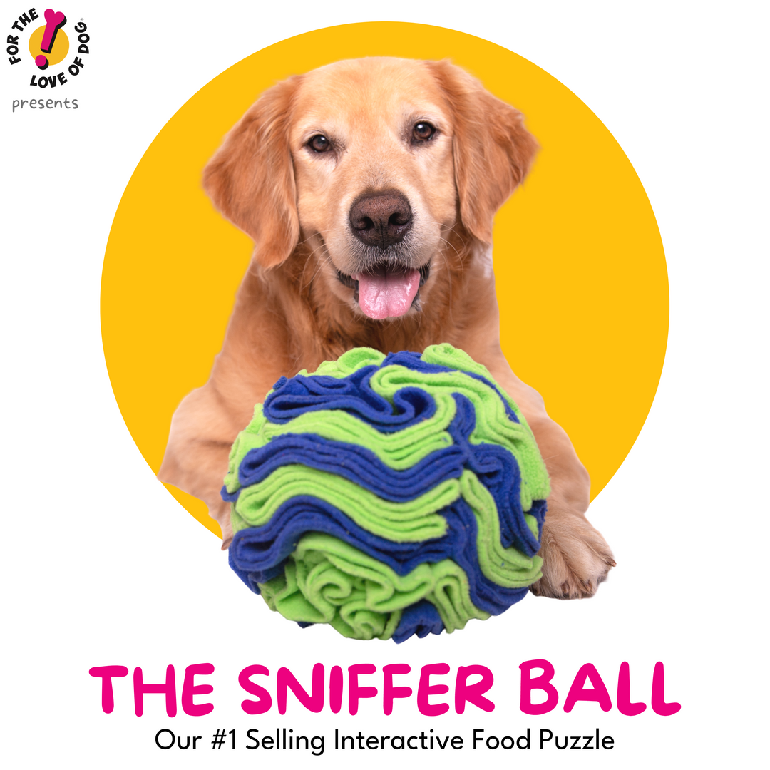 For the love of Dog Sniffer Ball for Dogs