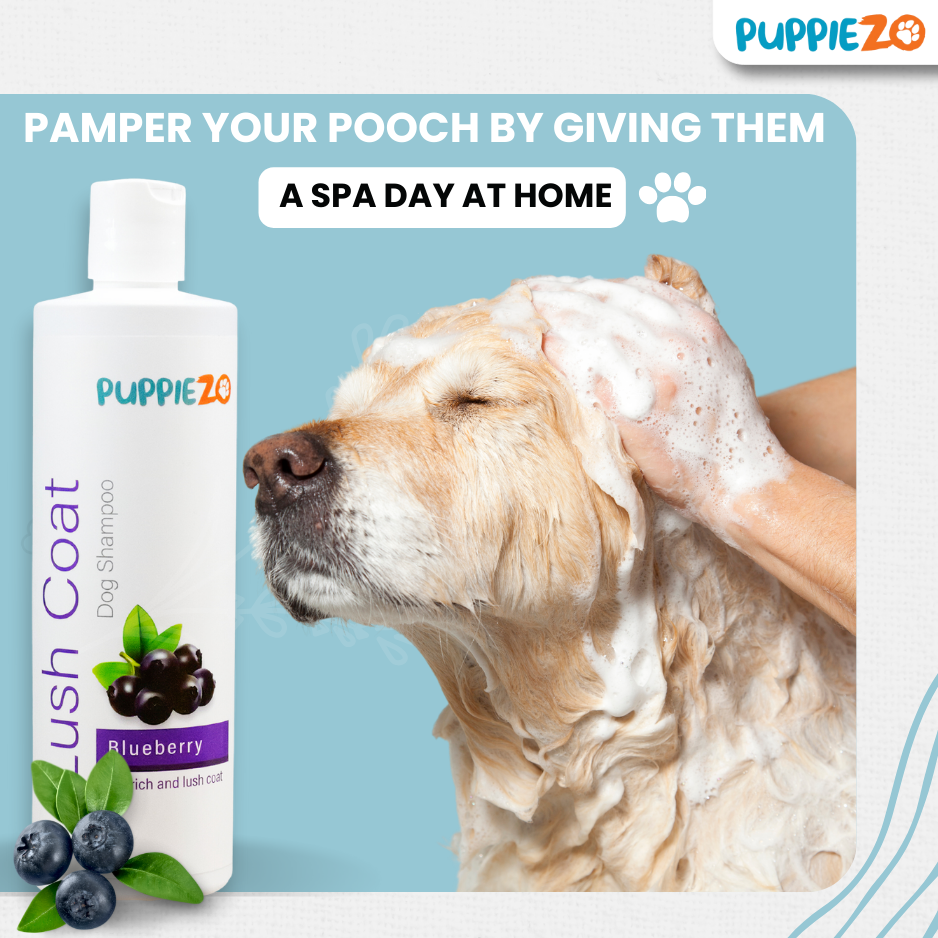 Puppiezo Lush Coat Dog Shampoo | Blueberry Infused for Detangling & Shine | pH Balanced, Paraben-Free, Deep Cleansing for All Breeds | Vet Approved