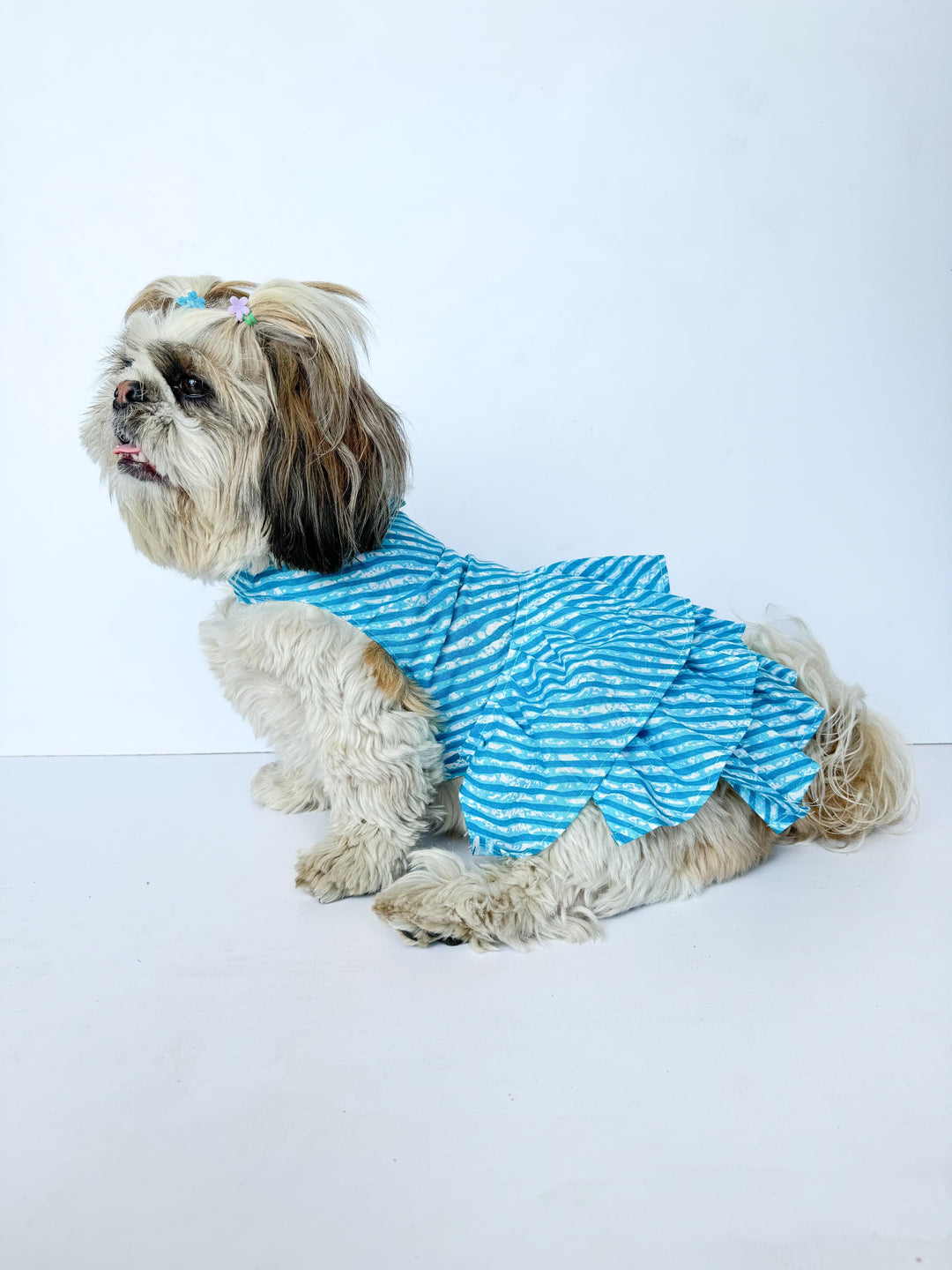 Dog Dress, Female dog dress, shihtzu birthday dress, dog birthday dress Puppiezo Dog Dress, Female dog dress, shihtzu birthday dress, dog birthday dress Puppiezo