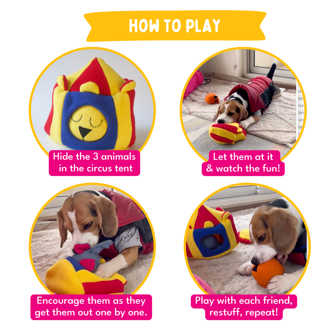 For The Love Of Dog Hide & Seek Squeaky Circus