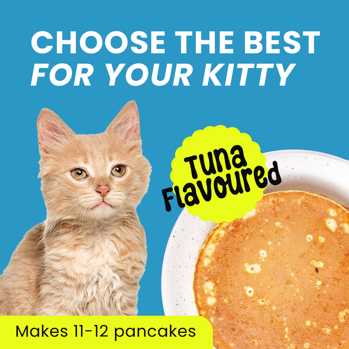 Cat Casper Pancake Mix for Cats Tuna 250gm