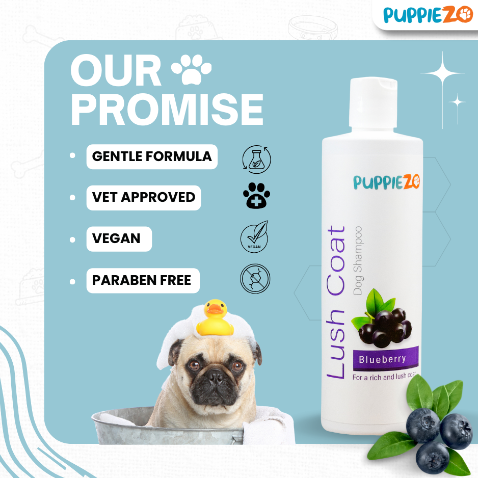 Puppiezo Lush Coat Dog Shampoo | Blueberry Infused for Detangling & Shine | pH Balanced, Paraben-Free, Deep Cleansing for All Breeds | Vet Approved