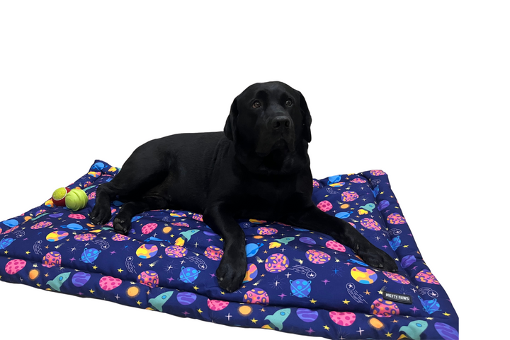 Pretty Paws Space Themed Dog Mat