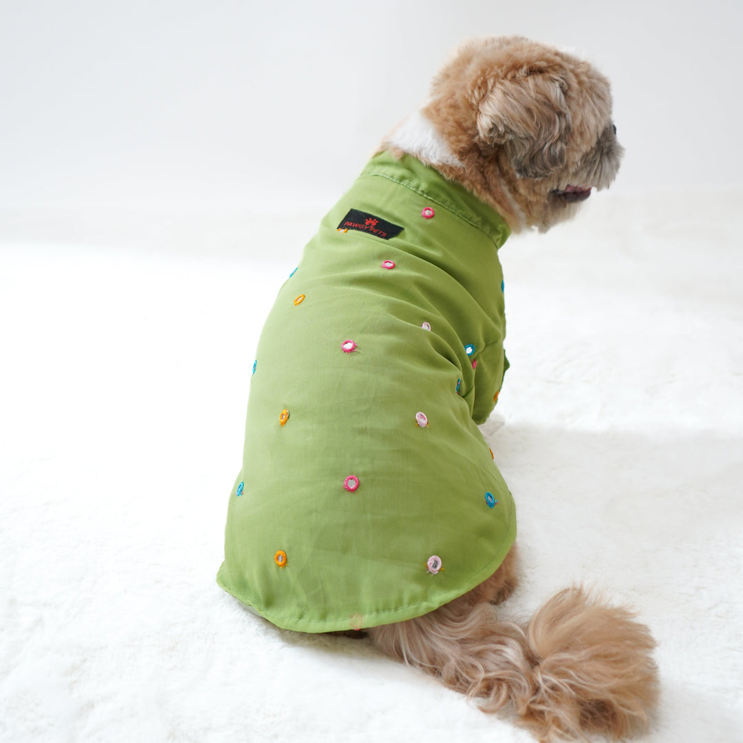 Pawgy Pets Festive Shirt Pista Green for Dogs