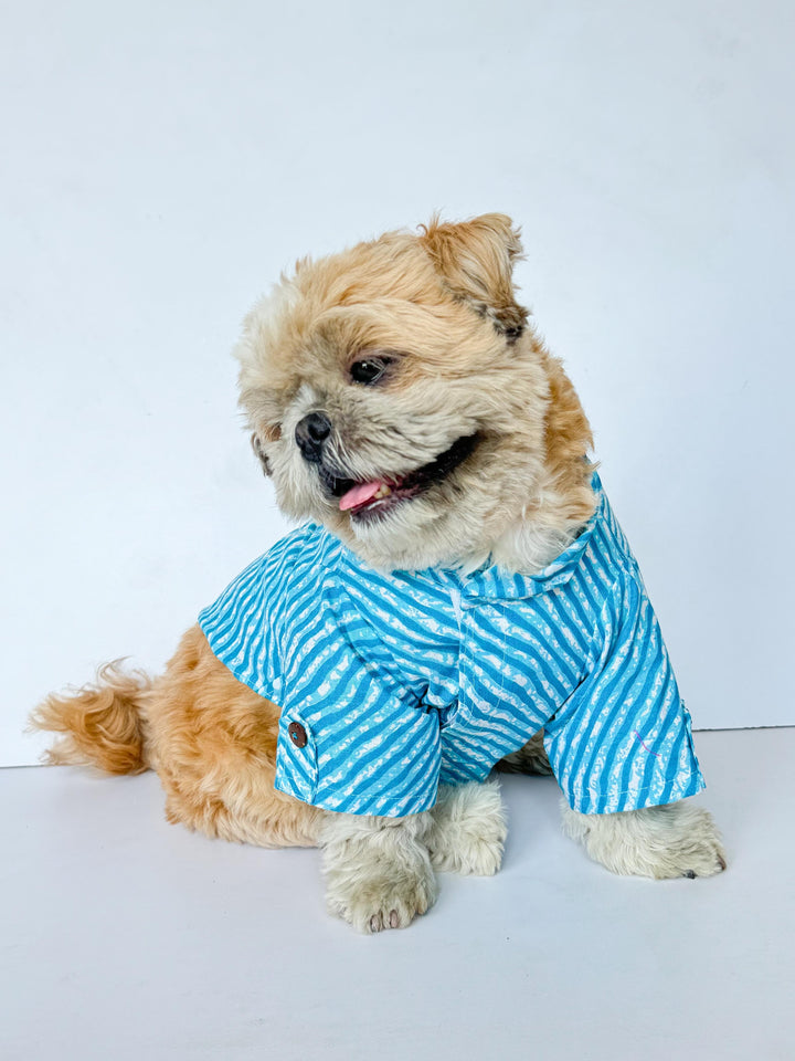 Pawgy Pets Lehriya Kurta: Blue for Dogs