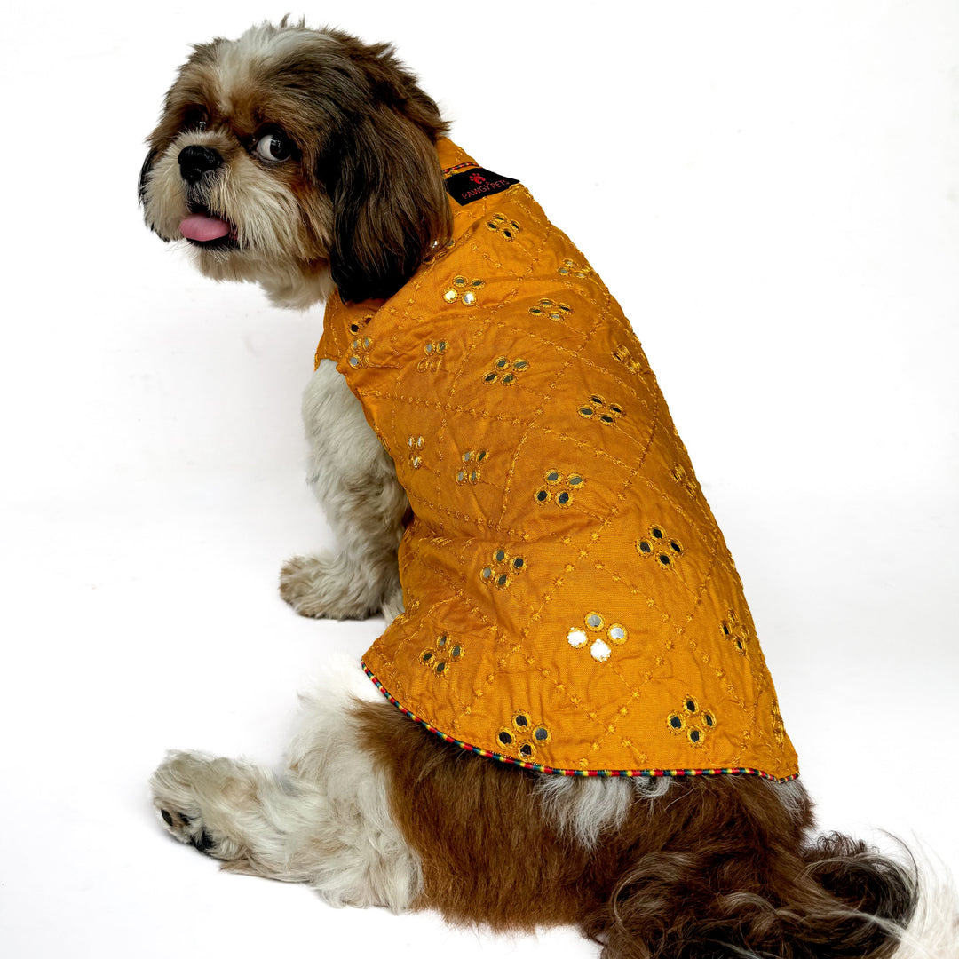 Pawgy Pets Festive Shirt Mustard Mirror Work for Dogs