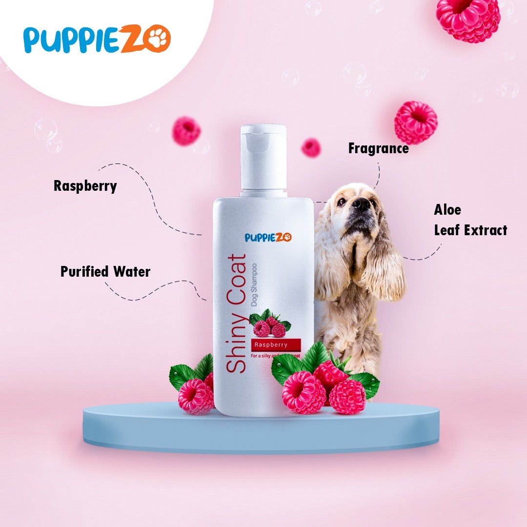 Puppiezo Shiny Coat Dog Shampoo (500 ml)