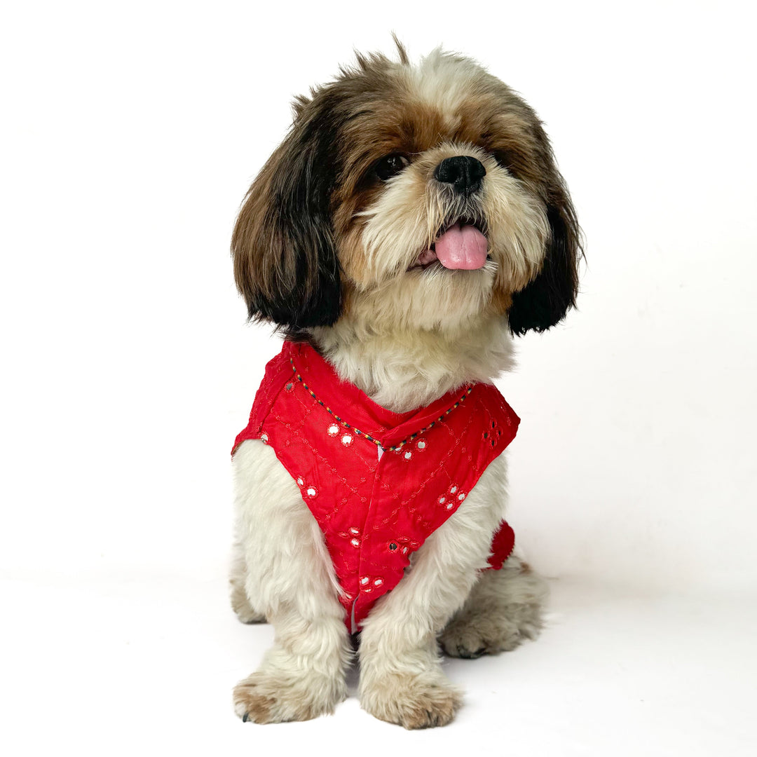 Pawgy Pets Festive Shirt Red Mirror Work for Dogs