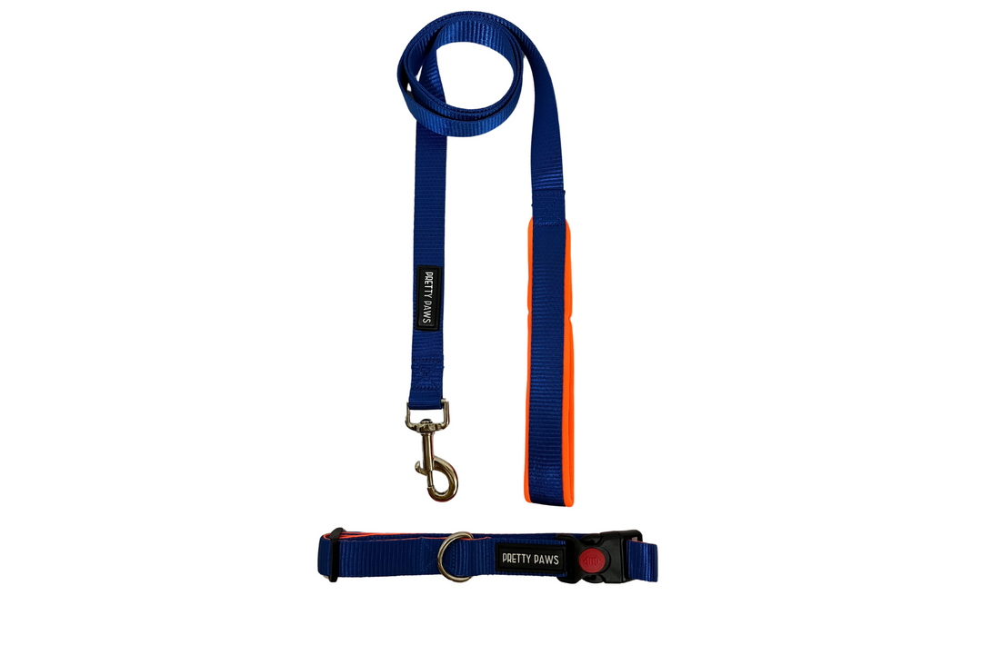Pretty Paws Solid Blue Collar & Leash Set for Dogs