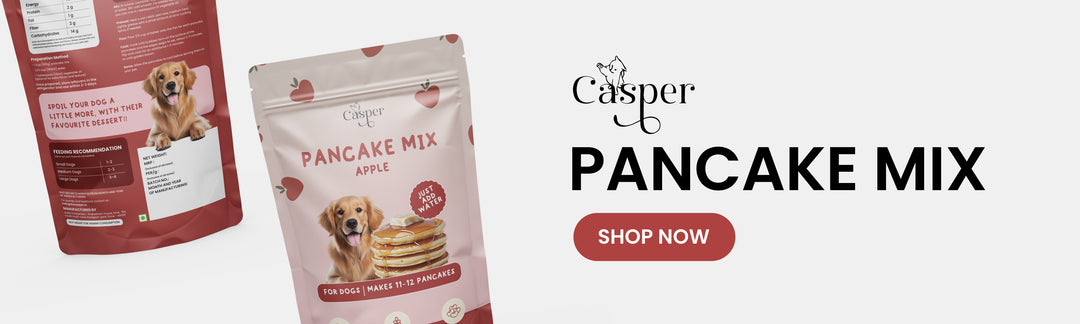 Cat Casper Pancake Mix for Dogs Apple 250gm