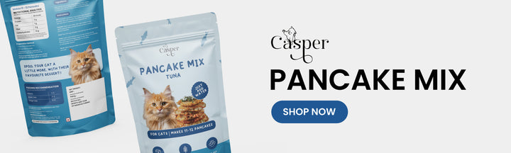 Cat Casper Pancake Mix for Cats Tuna 250gm