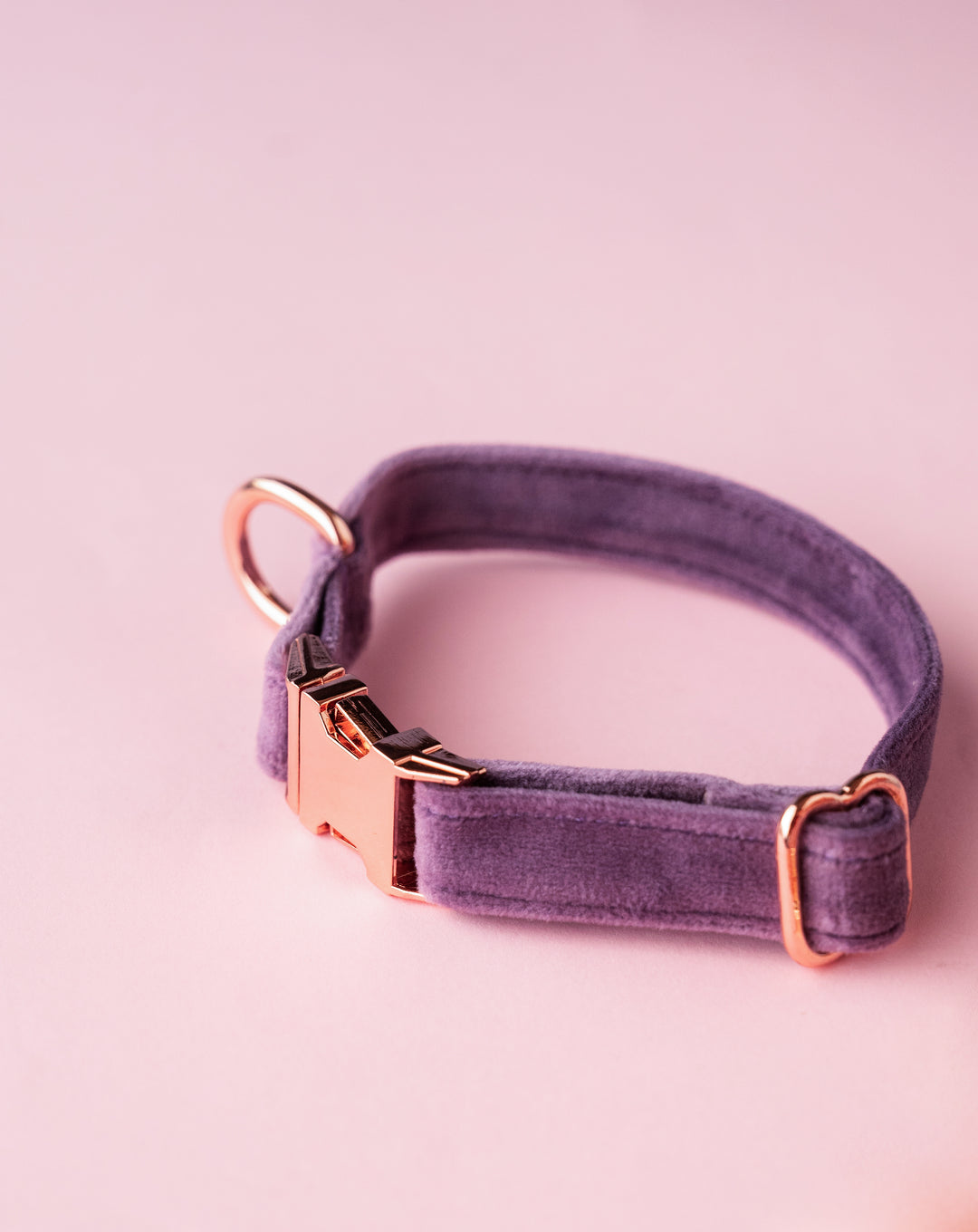 pAww! Suede Collars without an Attached Bow