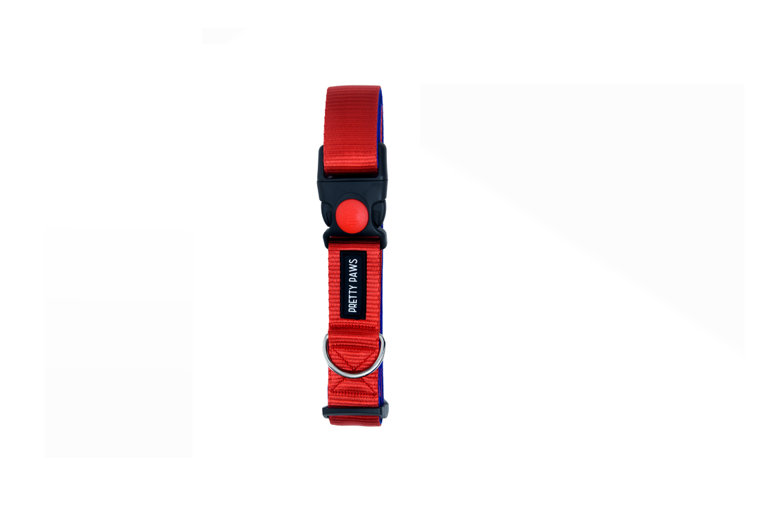 Pretty Paws Solid Red Dog Collar