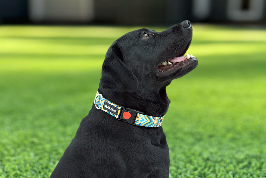 Pretty Paws Printed Yellow Collar & Leash Set for Dogs