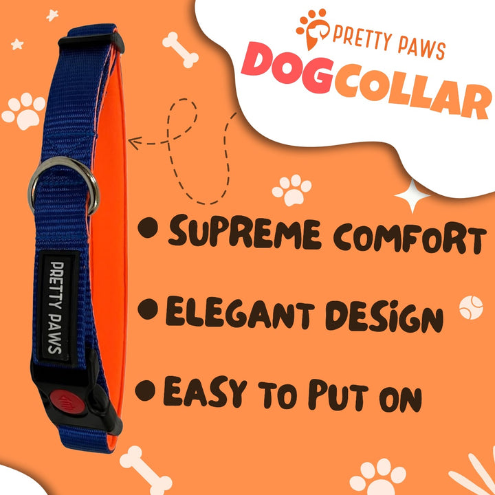 Pretty Paws Solid Blue Collar & Leash Set for Dogs