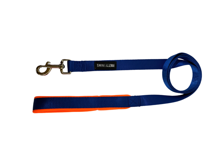Pretty Paws Solid Blue Collar & Leash Set for Dogs