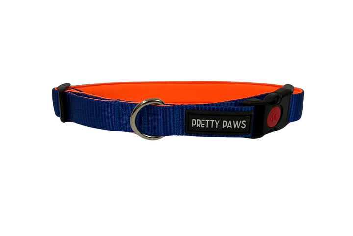 Pretty Paws Solid Blue Collar & Leash Set for Dogs