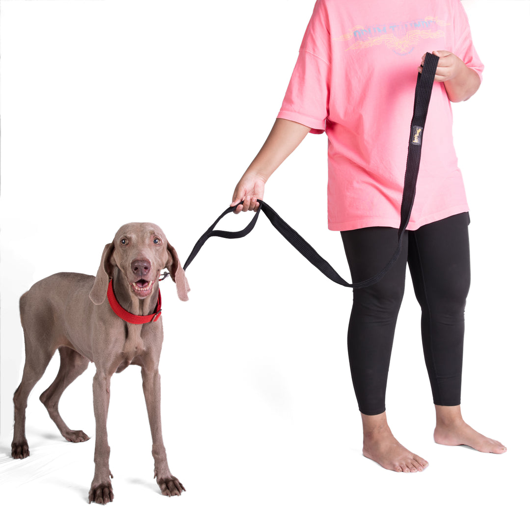 Letswag Double Handle Leash 1.25inch