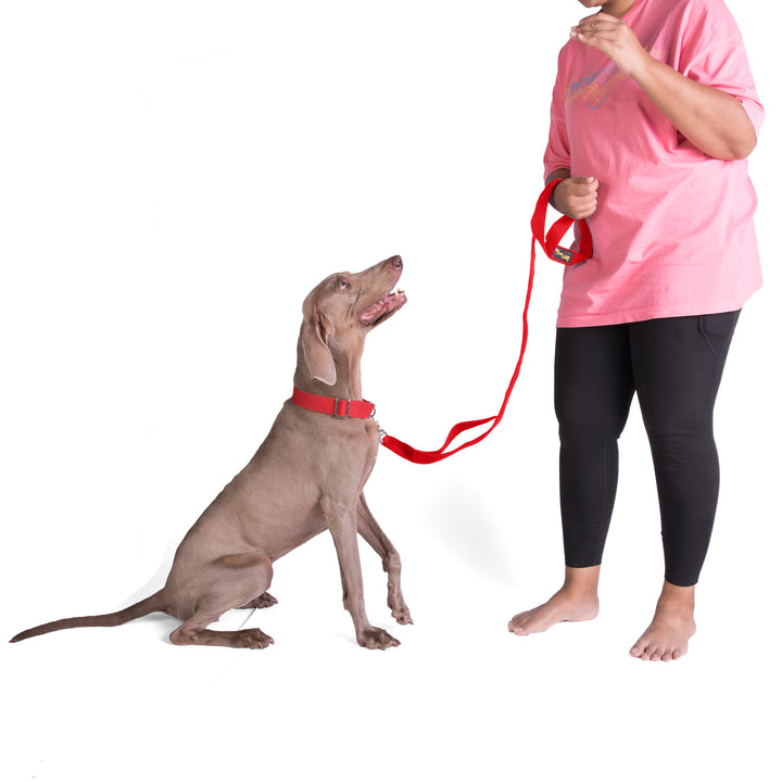 Letswag Double Handle Leash 1.25inch