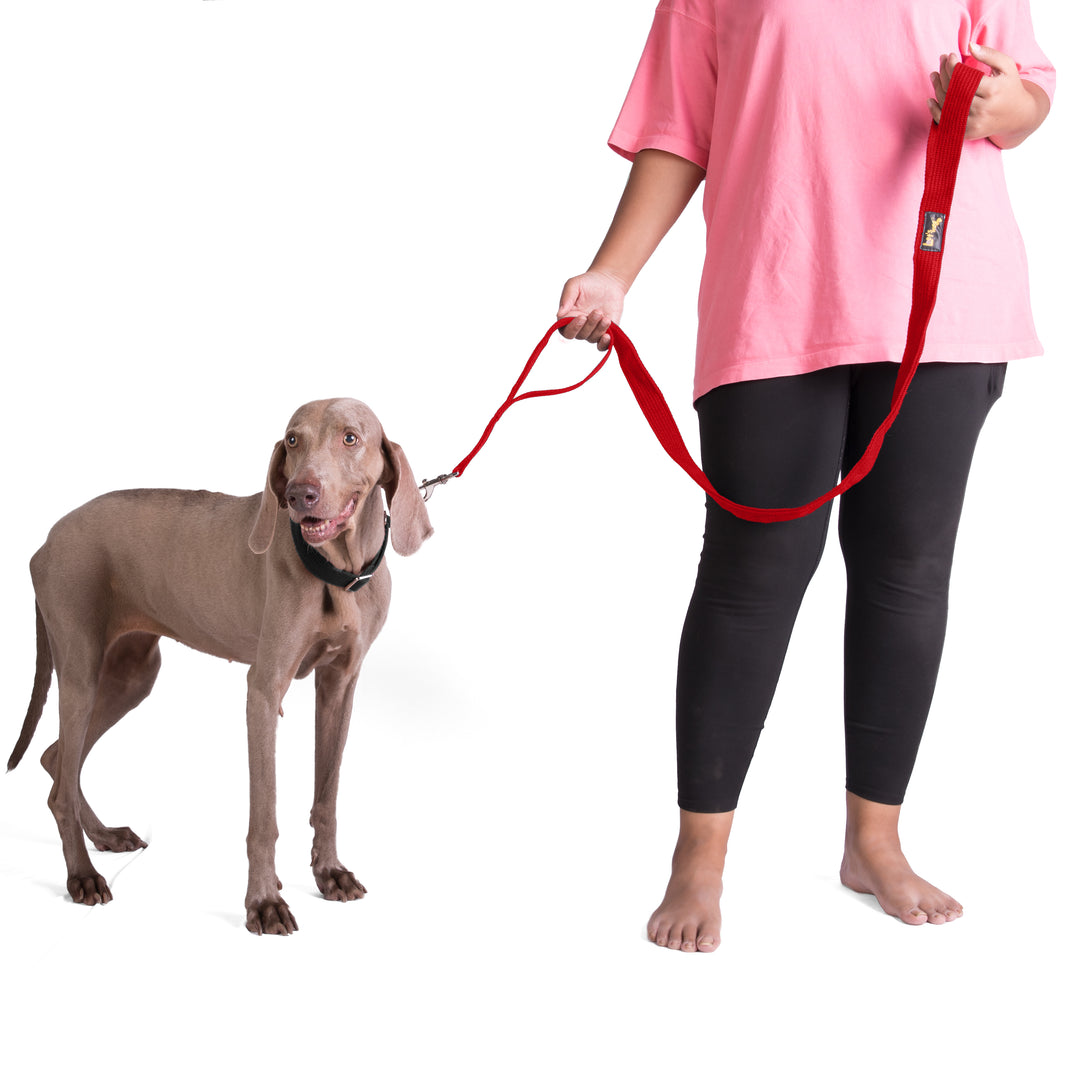 Letswag Double Handle Leash 1.25inch