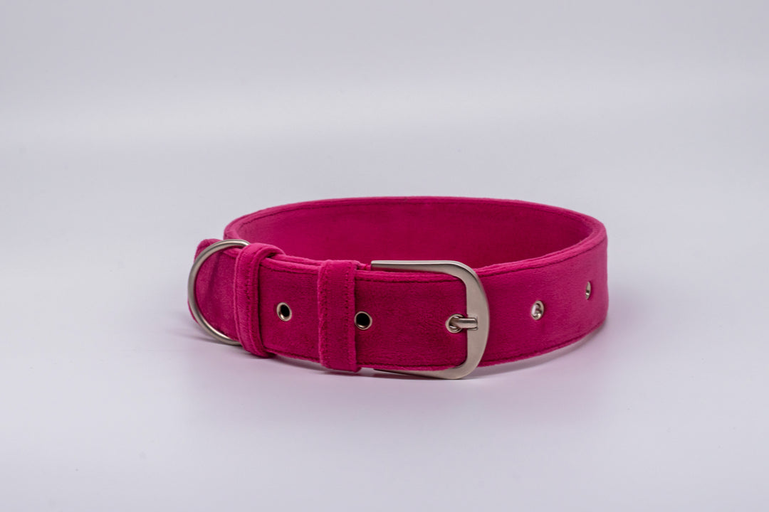 pAww! Suede Collar