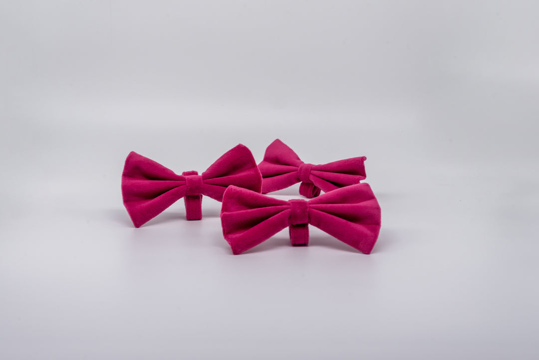 pAww! Suede Bow Tie