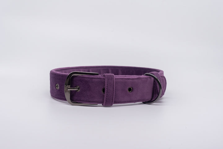 pAww! Suede Collar