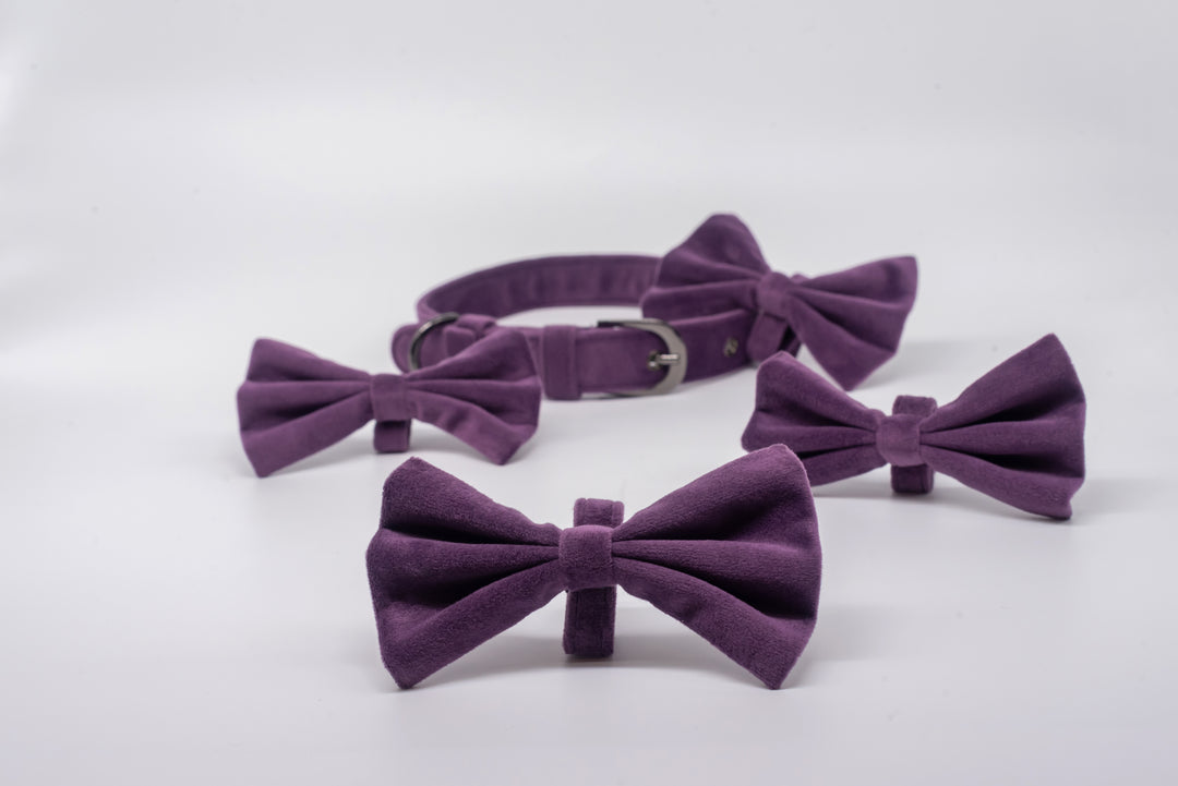 pAww! Suede Bow Tie