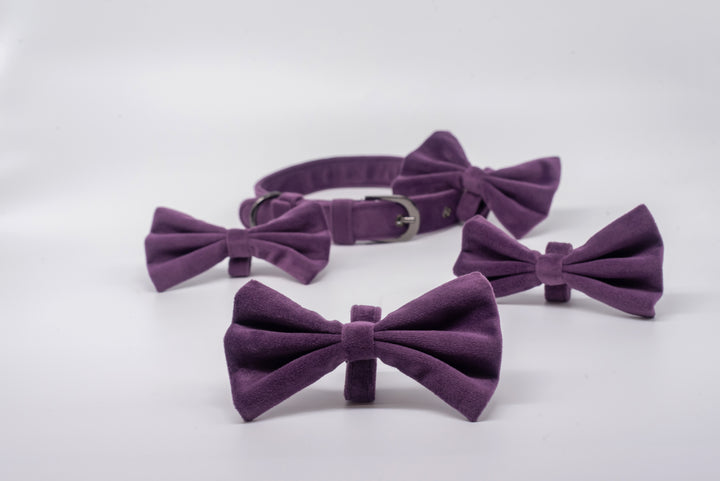 pAww! Suede Collars with an Attached Bow