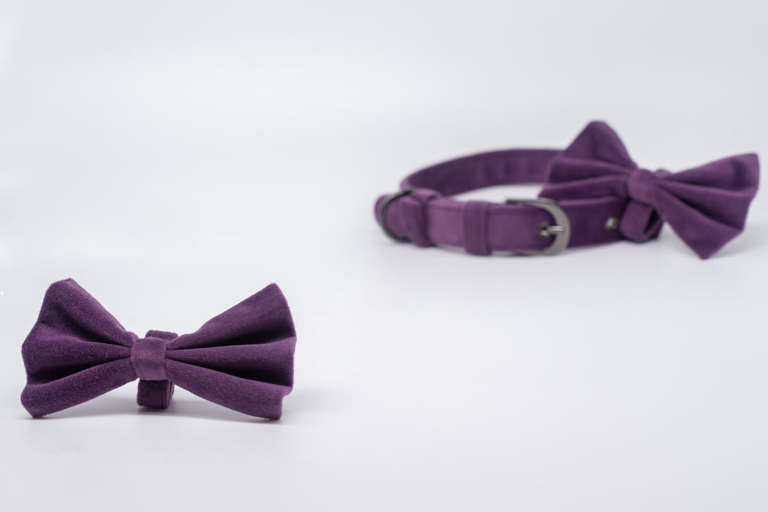 pAww! Suede Sailor Bow Tie