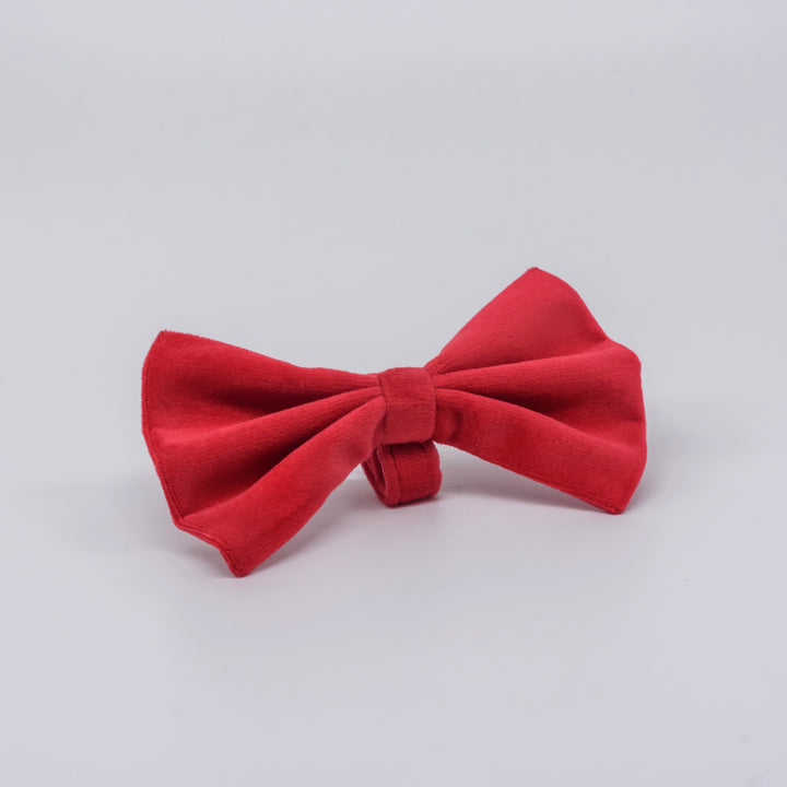 pAww! Suede Bow Tie