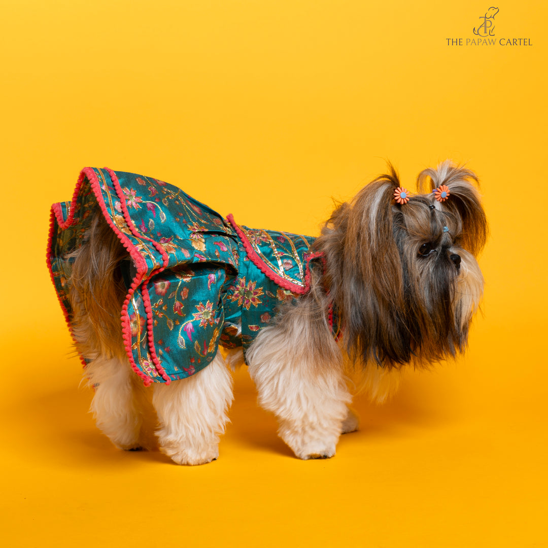 Papaw cartel Dil Rooba floral teal ghagra choli for dogs