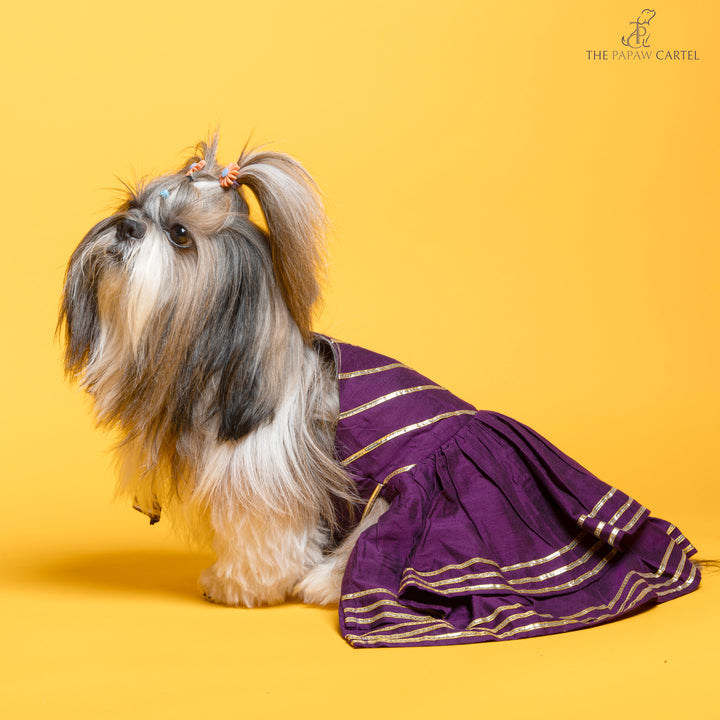 Papaw cartel Double layered Purple gotapatti ethnic frock for dogs