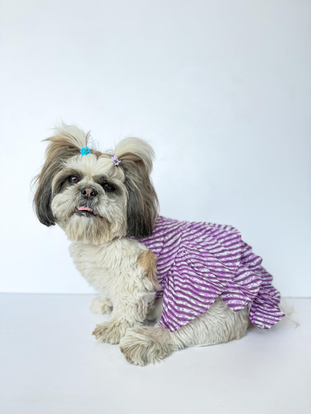 birthday dresses for dogs Buy Dog Birthday Dress