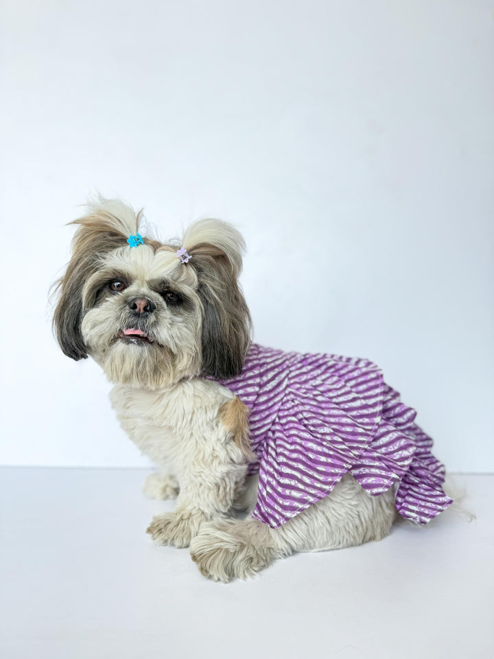 Pawgy Pets Lehriya Dress Purple for Dogs