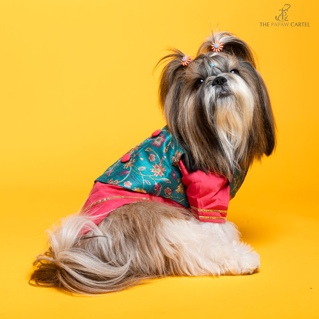 Papaw cartel Fuschia pink kurta with contrasting floral teal koti for dogs