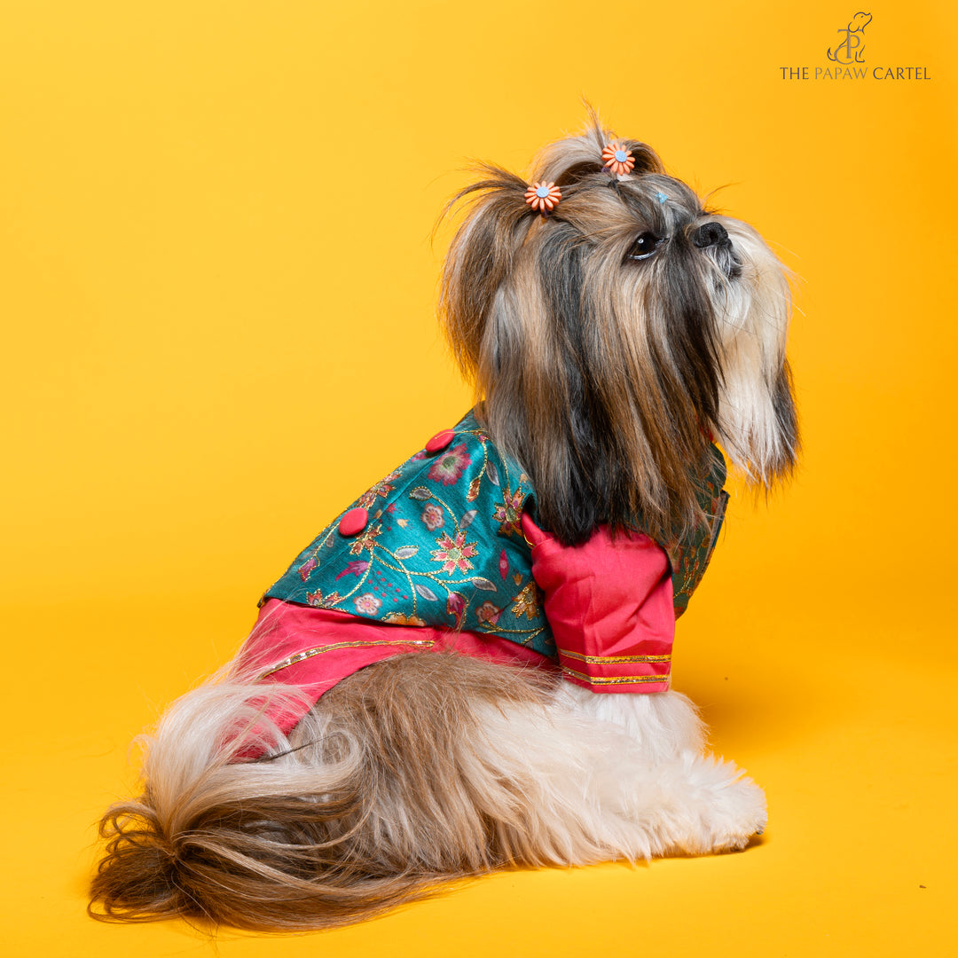 Papaw cartel Fuschia pink kurta with contrasting floral teal koti for dogs