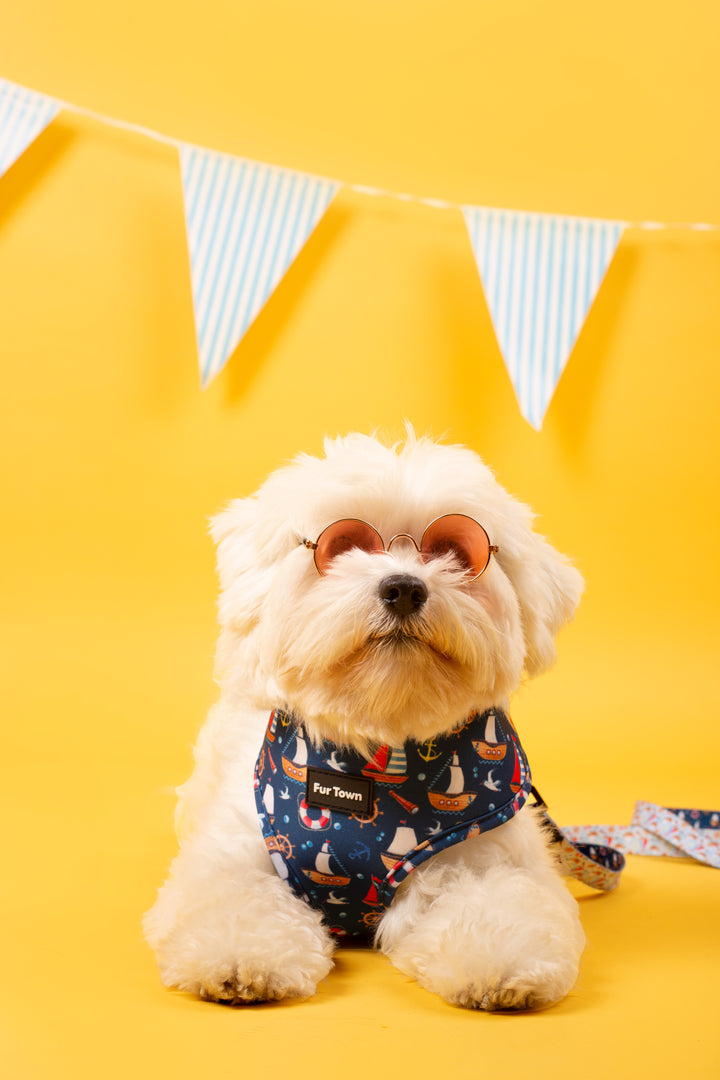 Furtown Seas the Day Harness