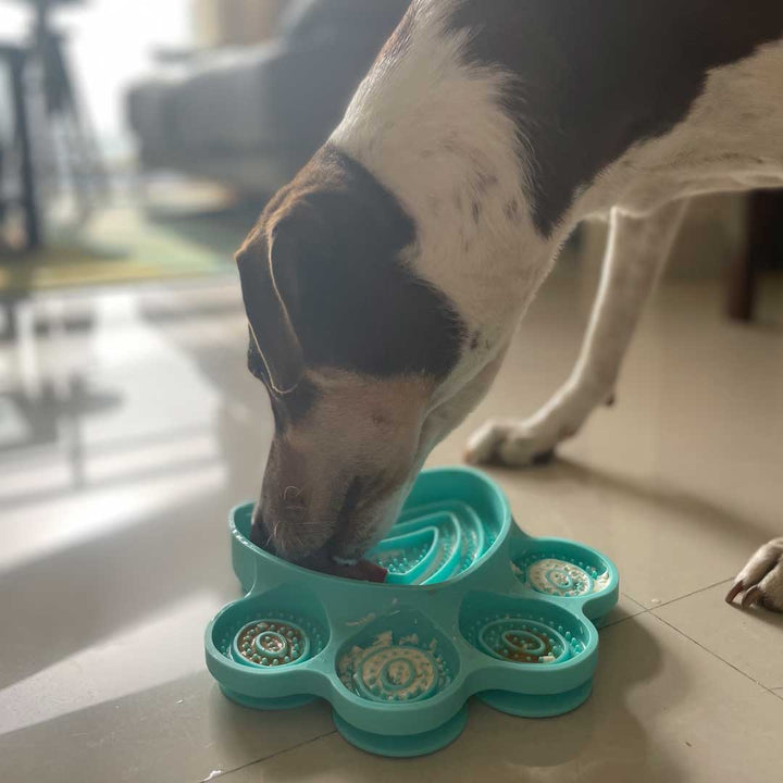 For The Love Of Dog Licky Bowl