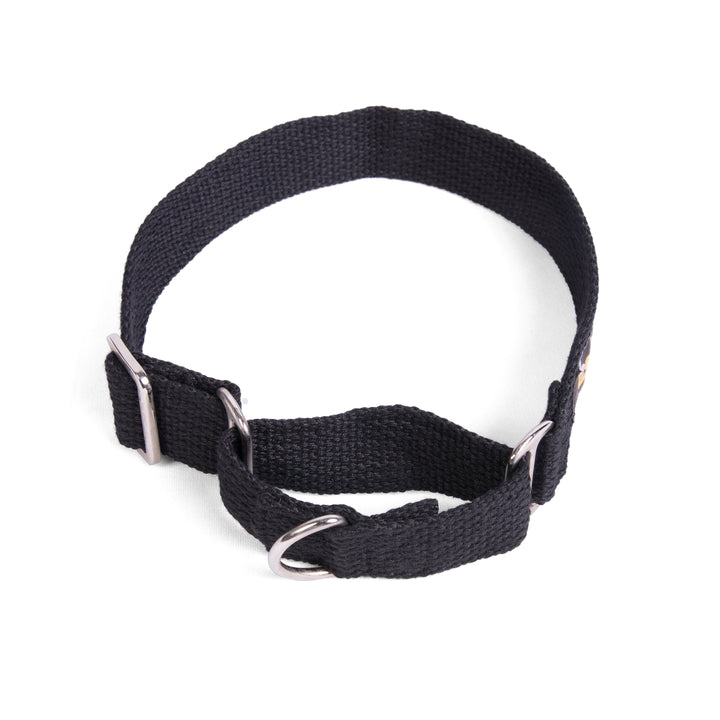 Letswag Martingale Collar