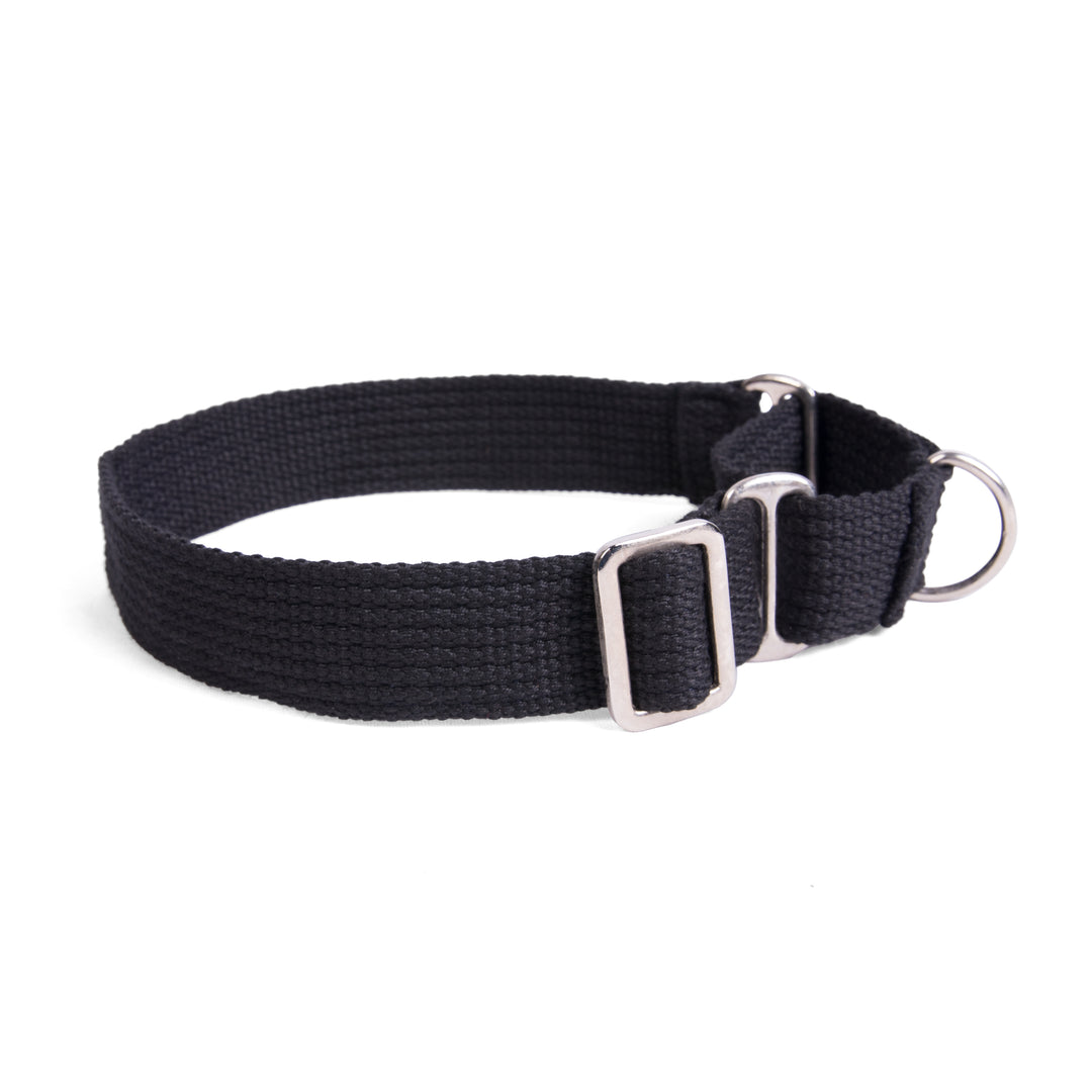 Letswag Martingale Collar