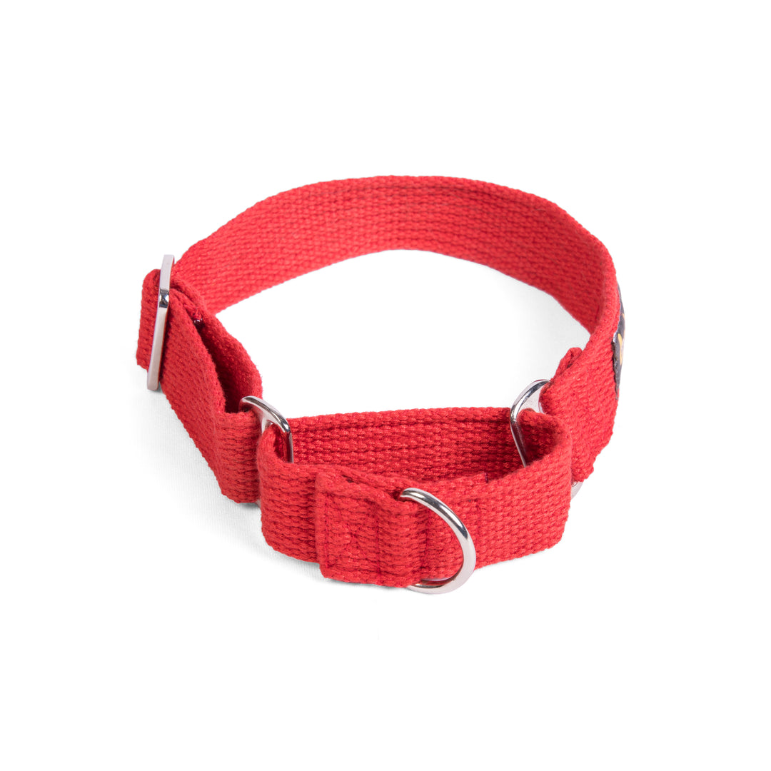 Letswag Martingale Collar