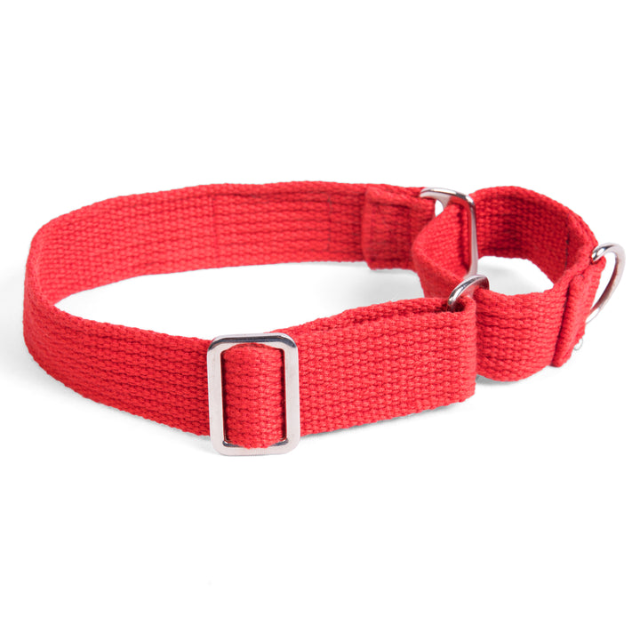 Letswag Martingale Collar