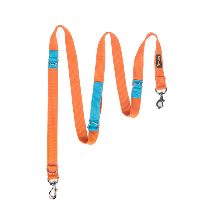 Letswag Multi Purpose Leash 1.25inch