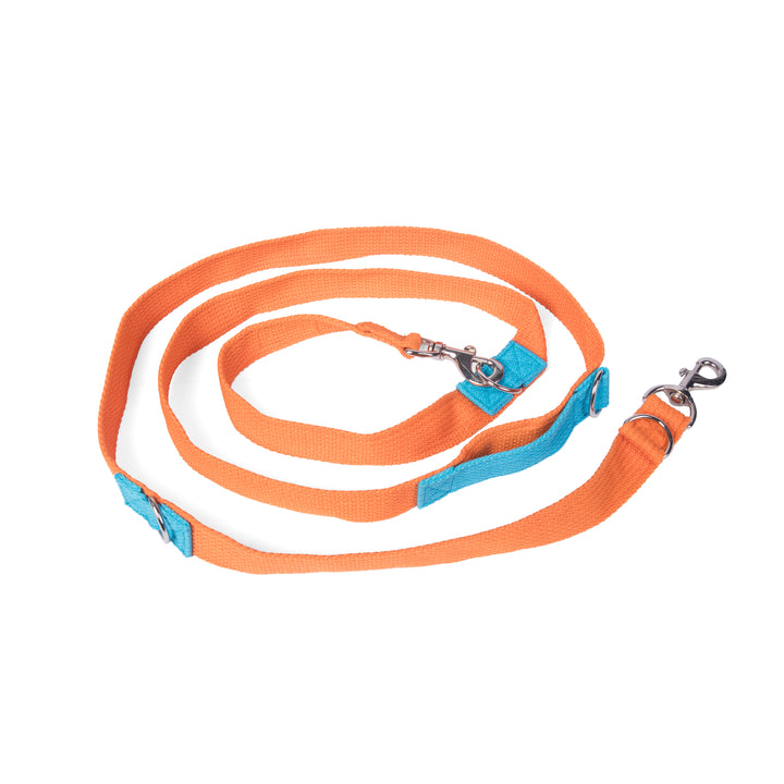 Letswag Multi Purpose Leash 1.25inch