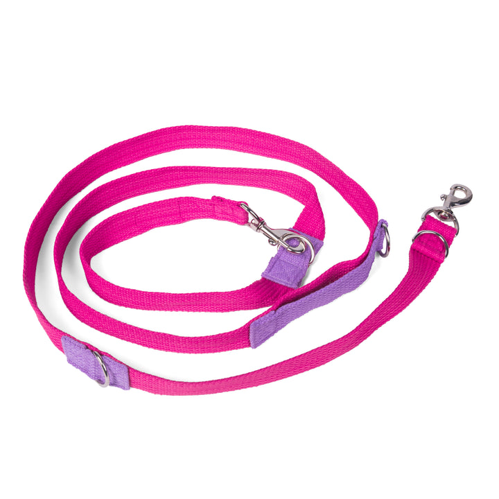 Letswag Multi Purpose Leash 1.25inch