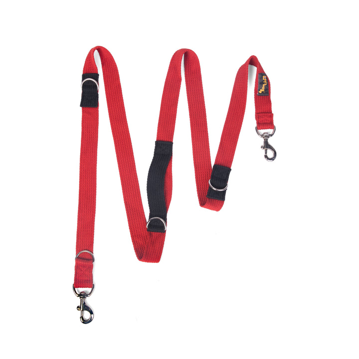 Letswag Multi Purpose Leash 1.25inch