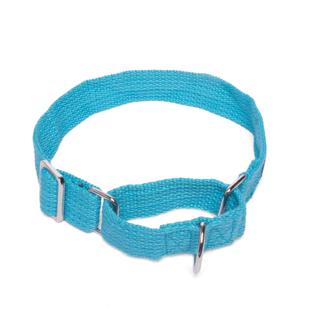 Letswag Martingale Collar